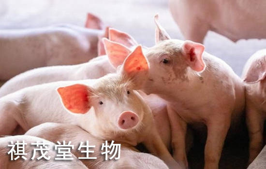 行业预判2023年猪肉价格走势<strong></p>
<p>比特币行情走势图</strong>，2023年生猪价格市场行情分析生猪价格走势分析图