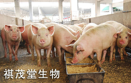 行业预判2023年猪肉价格走势<strong></p>
<p>比特币行情走势图</strong>，2023年生猪价格市场行情分析生猪价格走势分析图