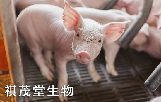 行业预判2023年猪肉价格走势<strong></p>
<p>比特币行情走势图</strong>，2023年生猪价格市场行情分析生猪价格走势分析图