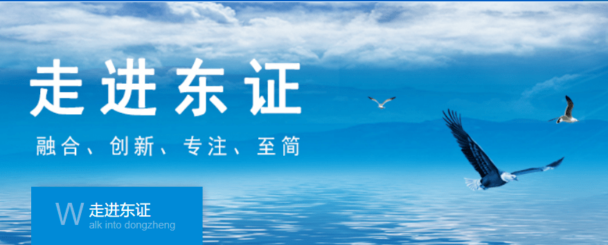 东北证券因豫金刚石财务造假被调查 律师：需承担连带赔偿责任