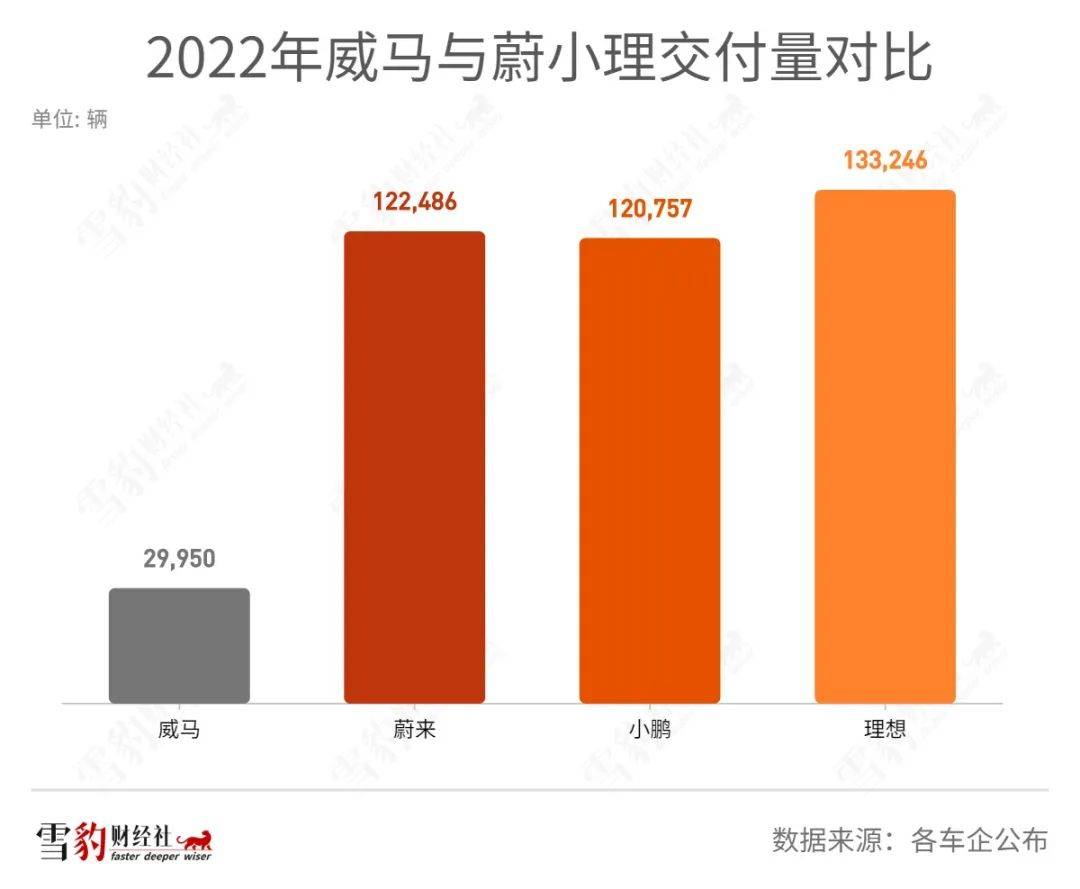 “危马”踏碎沈晖梦