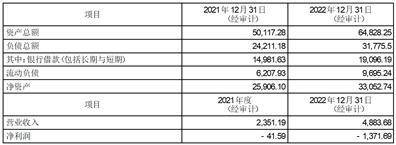上海雅仕投资发展股份有限公司 关于使用部分闲置自有资金进行现金 管理的公告