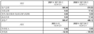 上海雅仕投资发展股份有限公司 关于使用部分闲置自有资金进行现金 管理的公告
