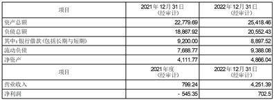 上海雅仕投资发展股份有限公司 关于使用部分闲置自有资金进行现金 管理的公告