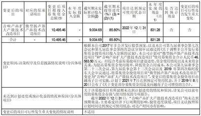 国光电器股份有限公司2022年度报告摘要