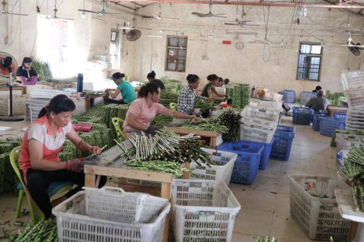 网络营销新模式<strong></p>
<p>网络销售外汇</strong>，打开销售新渠道