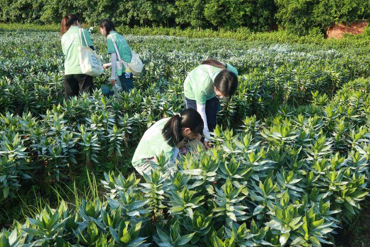 网络营销新模式<strong></p>
<p>网络销售外汇</strong>，打开销售新渠道