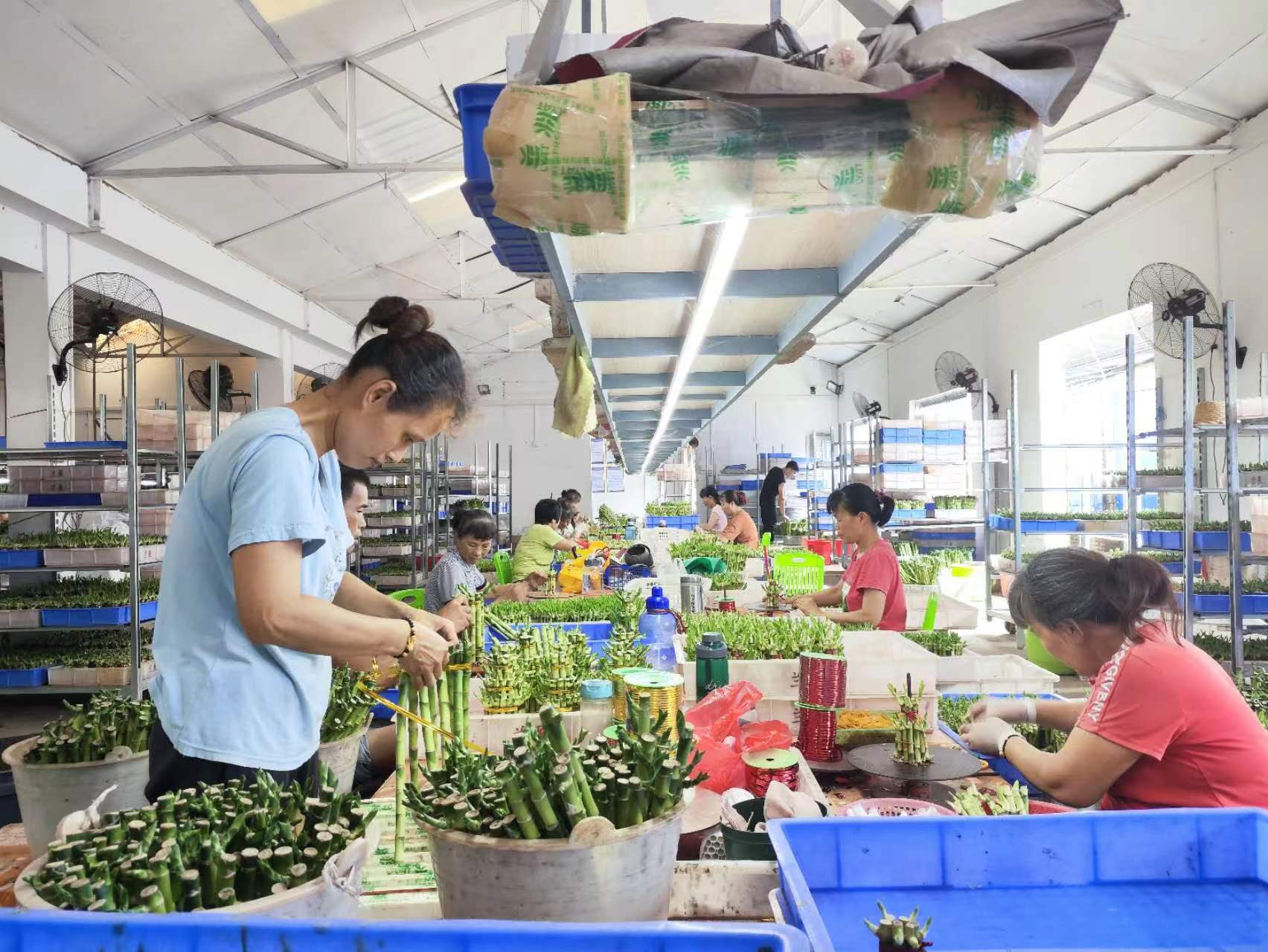 网络营销新模式<strong></p>
<p>网络销售外汇</strong>，打开销售新渠道