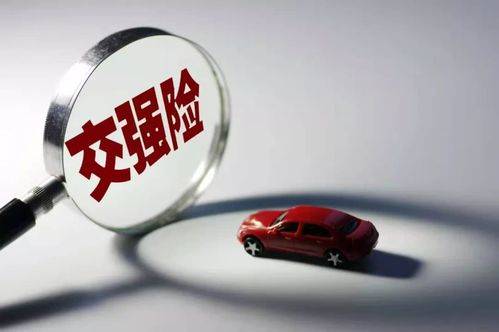 购买的车险在哪里查询,交强险查询平台官网保单