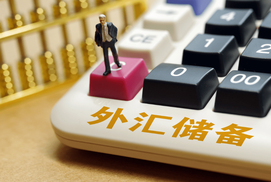 货币策略之DLS平台的独特视角：如何利用宏观经济影响外汇