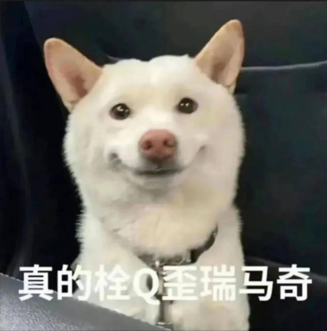 全网被嘲的“沪币”<strong></p>
<p>大币网</strong>，到底有多贵？