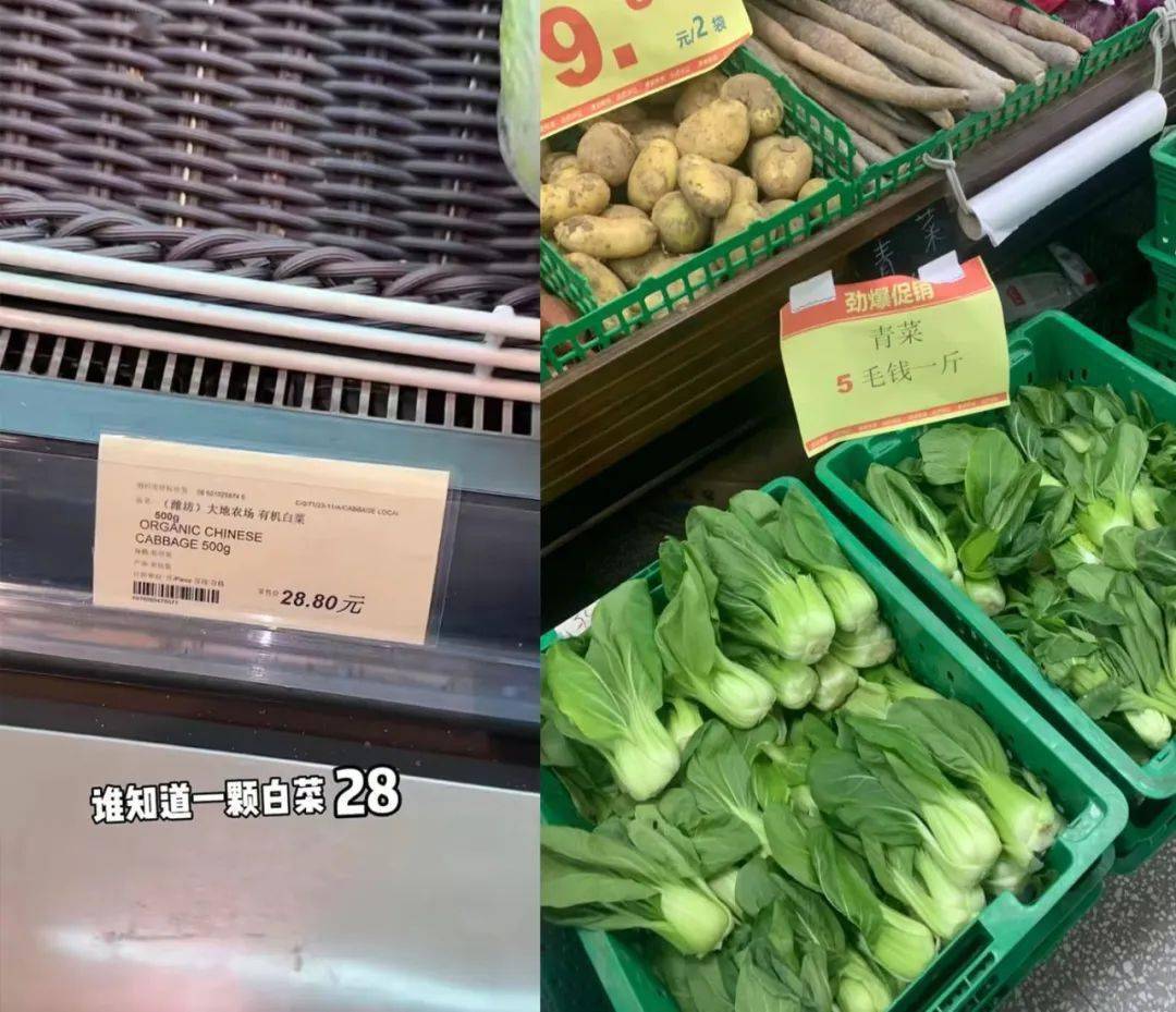 全网被嘲的“沪币”<strong></p>
<p>大币网</strong>，到底有多贵？