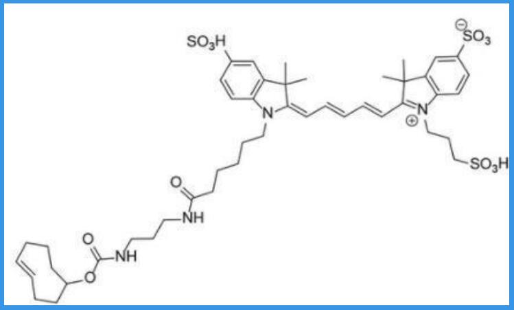 Cy5-TCO<strong></p>
<p>Victcoin</strong>，Cyanine5 TCO可以用于检测和分析有机化合物
