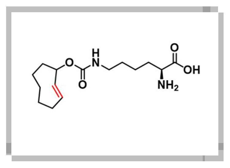 N-(2E)-TCO-L-lysine<strong></p>
<p>Victcoin</strong>，1580501-94-5，含有TCO部分和赖氨酸部分