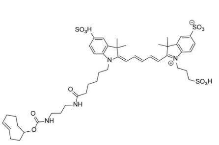 TCO Cyanine5<strong></p>
<p>Victcoin</strong>，Cy5 TCO，TCO激活的Cy5探针可用于检测和可视化含四嗪的分子