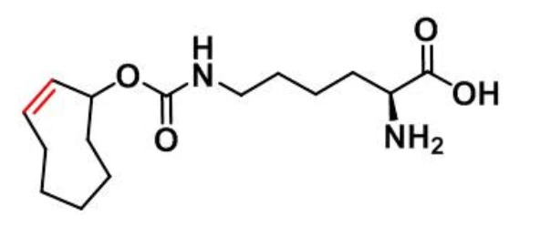 1580501-94-5<strong></p>
<p>Victcoin</strong>，N-(2E)-TCO-L-lysine具有良好的水溶性和生物活性