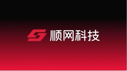 立足算力<strong></p>
<p>顺币网</strong>，聚焦AI！顺网科技全面走进AI智算时代