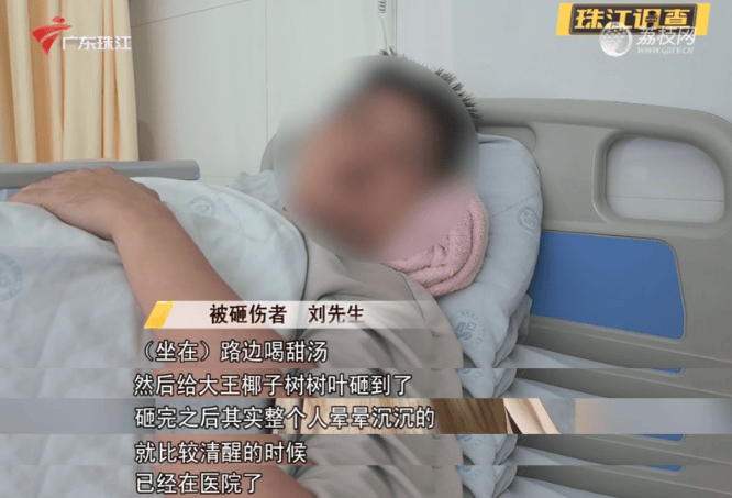 一男子被树叶砸骨折！获赔2.2万元<strong></p>
<p>ACX</strong>，网友：就知道是它…