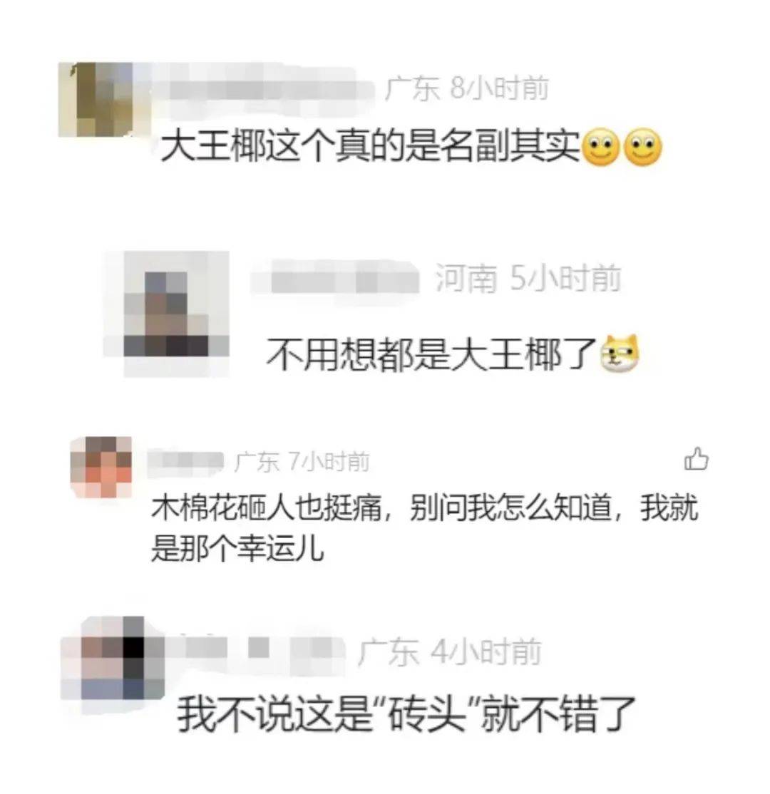 一男子被树叶砸骨折！获赔2.2万元<strong></p>
<p>ACX</strong>，网友：就知道是它…