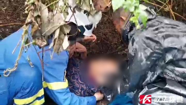 奇迹！湖南88岁老人上山砍柴走失<strong></p>
<p>坚果</strong>，5天后在草丛被找到时……