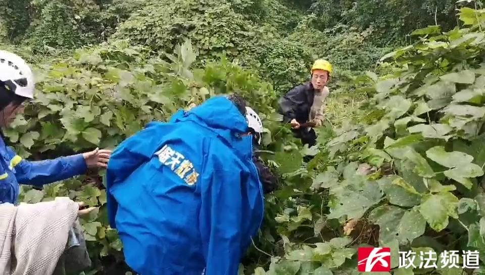 奇迹！湖南88岁老人上山砍柴走失<strong></p>
<p>坚果</strong>，5天后在草丛被找到时……