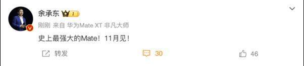 华为Mate 70系列即将发布<strong></p>
<p>币蓝</strong>，余承东称其为“史上最强大的Mate”