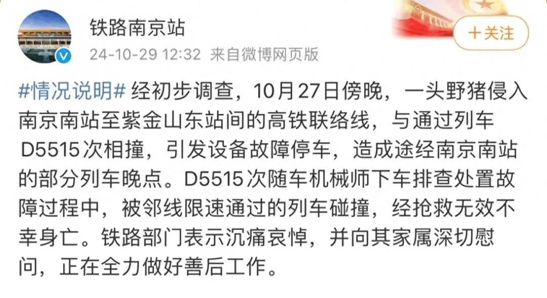 街头横冲直闯<strong></p>
<p>币蓝</strong>，抱娃女子被撞伤，警方：已被特警击毙