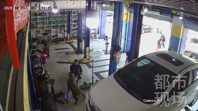 街头横冲直闯<strong></p>
<p>币蓝</strong>，抱娃女子被撞伤，警方：已被特警击毙