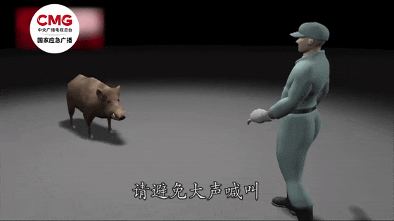 街头横冲直闯<strong></p>
<p>币蓝</strong>，抱娃女子被撞伤，警方：已被特警击毙