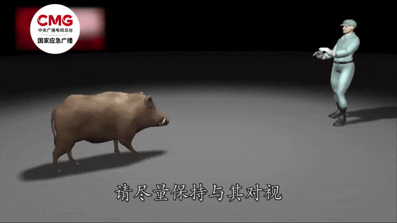 街头横冲直闯<strong></p>
<p>币蓝</strong>，抱娃女子被撞伤，警方：已被特警击毙