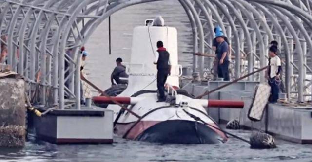 台海水下冒出一大家伙<strong></p>
<p>Hydax</strong>，岛内疾呼，这是对抗解放军的“法宝”