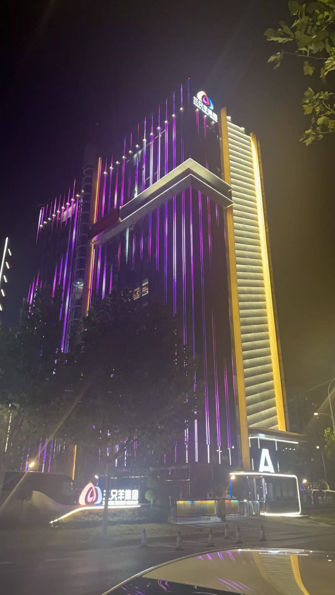 实探三只羊总部：深夜灯火通明<strong></p>
<p>艾戴克斯</strong>，门口有主播靠直播园区日常涨粉数十万