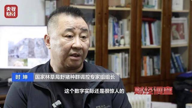 多地频现野猪伤人致害<strong></p>
<p>Coinsquare</strong>！为什么不能放开猎捕？记者调查