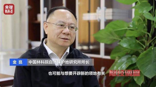 多地频现野猪伤人致害<strong></p>
<p>Coinsquare</strong>！为什么不能放开猎捕？记者调查