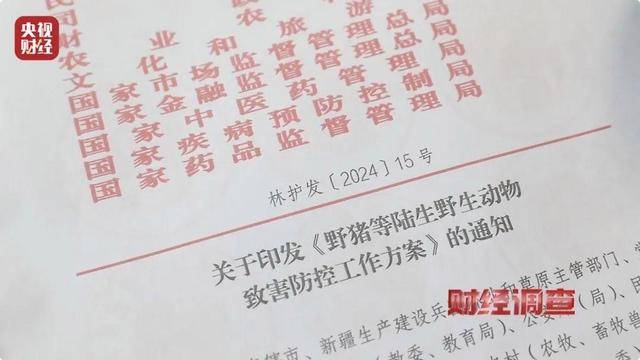 多地频现野猪伤人致害<strong></p>
<p>Coinsquare</strong>！为什么不能放开猎捕？记者调查