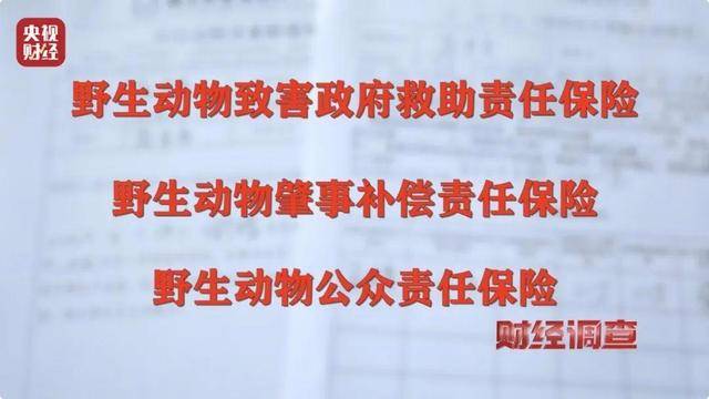 多地频现野猪伤人致害<strong></p>
<p>Coinsquare</strong>！为什么不能放开猎捕？记者调查