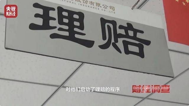 多地频现野猪伤人致害<strong></p>
<p>Coinsquare</strong>！为什么不能放开猎捕？记者调查