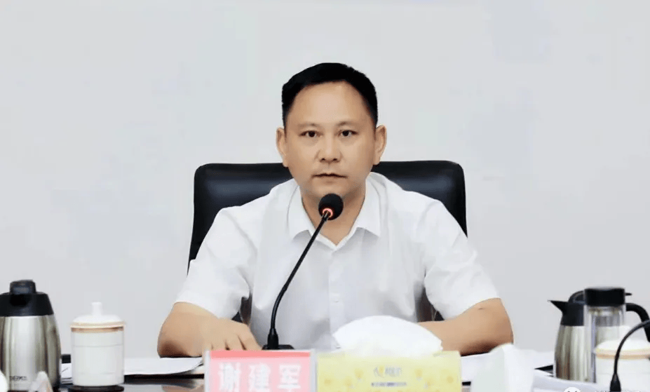 县委书记任上主动投案的谢建军<strong></p>
<p>Luno</strong>，被逮捕