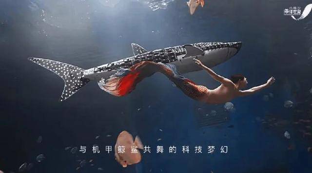 海洋馆里的鲸鲨竟是“机器鱼”<strong></p>
<p>鹿网</strong>，游客怒了！假鲸鲨贵的也要千万元，专家：确实有难处
