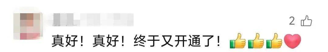 正式恢复！票价最低28.5元<strong></p>
<p>鹿网</strong>，河北进京绿皮车+1