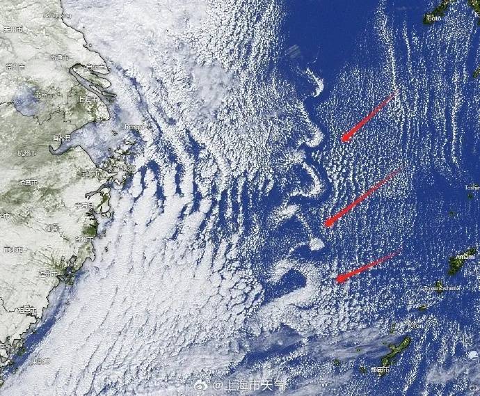 强冷空气发力！上海迎最冷时段：最低温跌至个位数<strong></p>
<p>goubi</strong>，还有雨