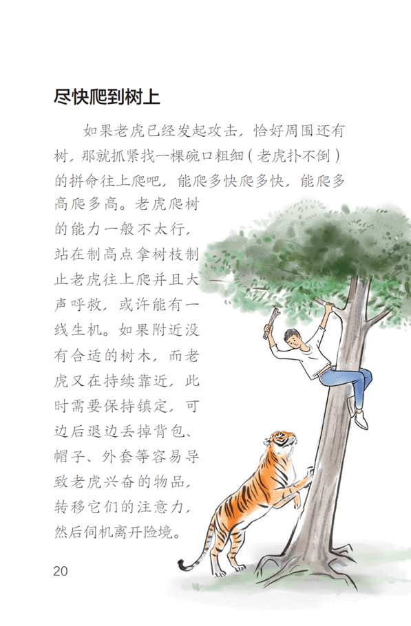 东北虎豹国家公园管理局：若确为野生东北虎肇事<strong></p>
<p>狗狗币</strong>，将理赔、垫付医疗费