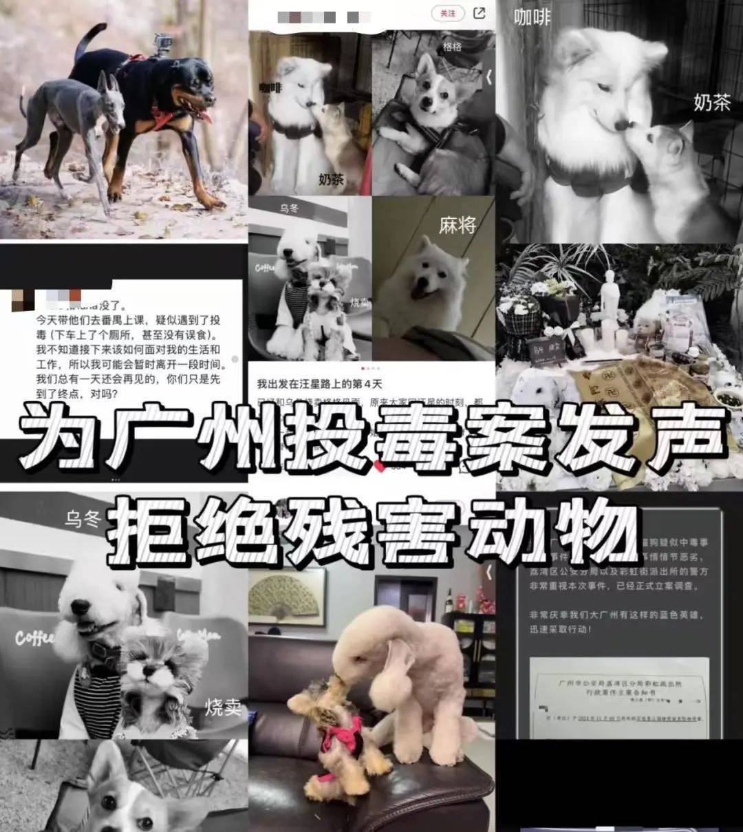 “死亡数据仍在上升”<strong></p>
<p>狗狗币</strong>！广州警方介入