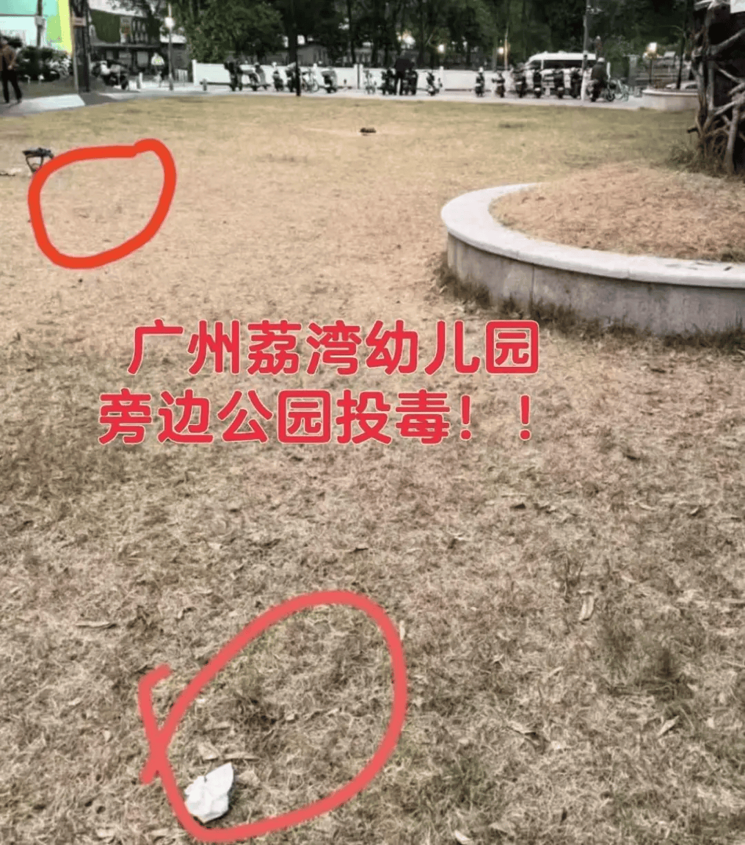 “死亡数据仍在上升”<strong></p>
<p>狗狗币</strong>！广州警方介入