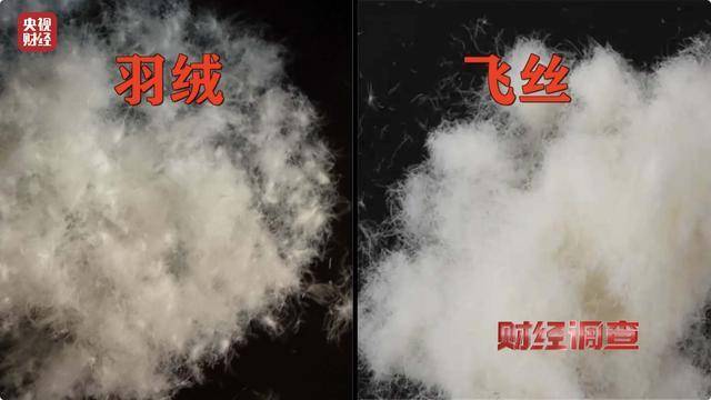 羽绒服造假被曝光<strong></p>
<p>shib币</strong>，业内人士教你这5招买到真羽绒