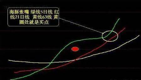A股市场：股票一旦出现“海豚嘴”形态<strong></p>
<p>shib币</strong>，坚定捂股，将是大牛股起飞