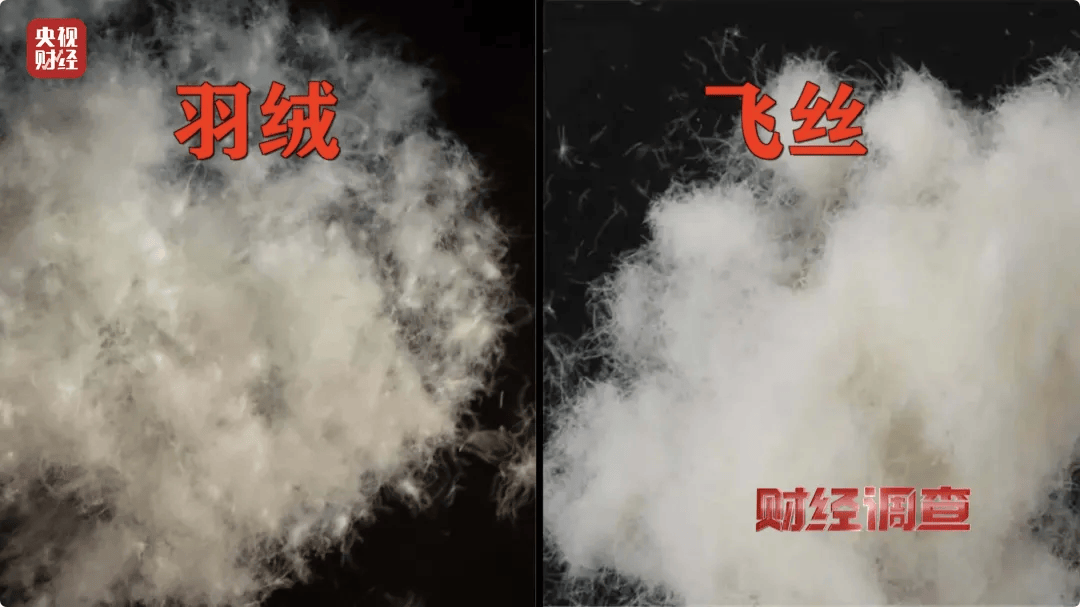 官方通报：查封扣押、立案查处<strong></p>
<p>shib币</strong>！