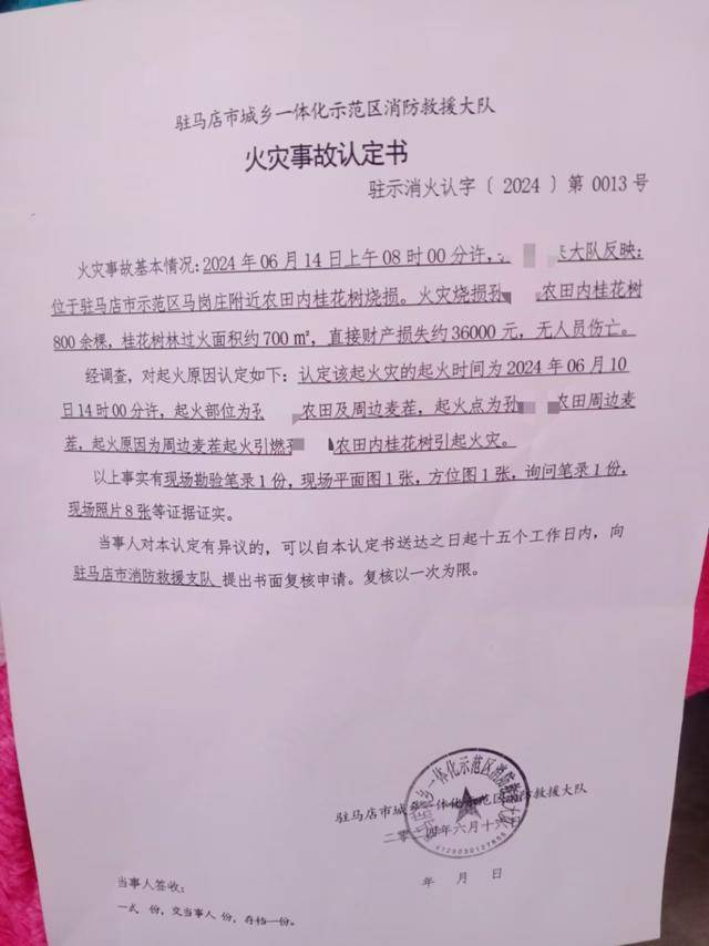 群众近千棵桂花树被烧死<strong></p>
<p>狗币</strong>，为何不立案？驻马店回应