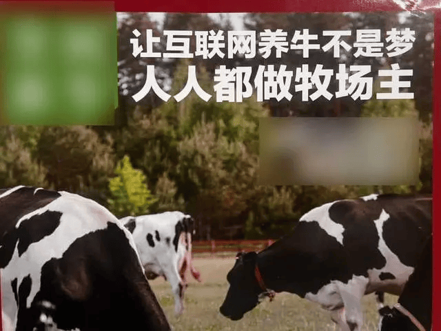 300万元变6万斤牛肉<strong></p>
<p>币安如何交易</strong>，吃不到也卖不了，什么情况？