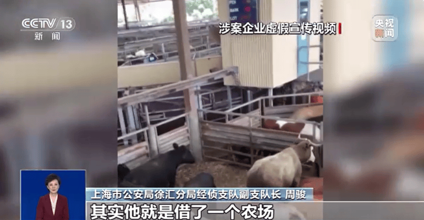 300万元变6万斤牛肉<strong></p>
<p>币安如何交易</strong>，吃不到也卖不了，什么情况？